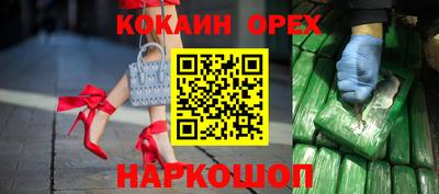 стафф Кингисепп