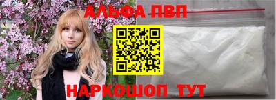 стафф Кингисепп