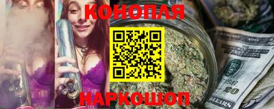 стафф Кингисепп