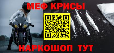стафф Кингисепп