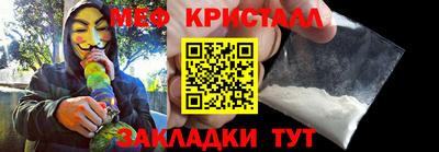 стафф Кингисепп